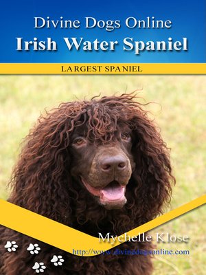 cover image of Irish Water Spaniel